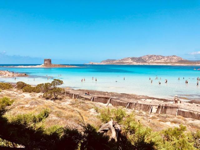 Villetta Indipendente Immersa Nel Verde Stintino Exterior foto