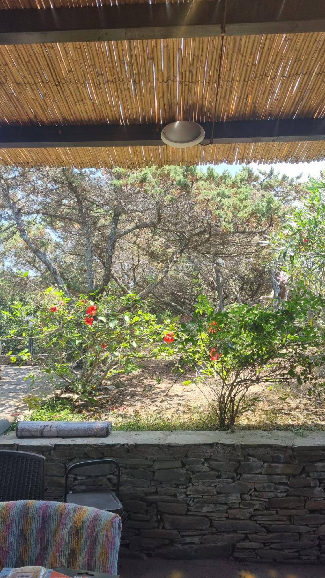 Villetta Indipendente Immersa Nel Verde Stintino Exterior foto